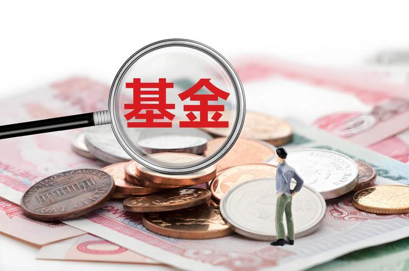 股权投资选购指南：解读投资价值与市场走势